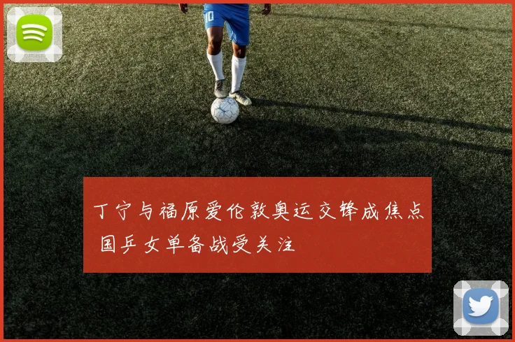 丁宁与福原爱伦敦奥运交锋成焦点 国乒女单备战受关注