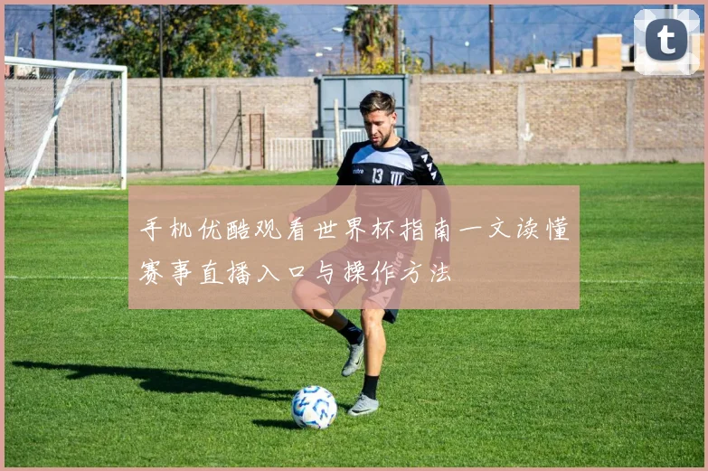 手机优酷观看世界杯指南一文读懂赛事直播入口与操作方法